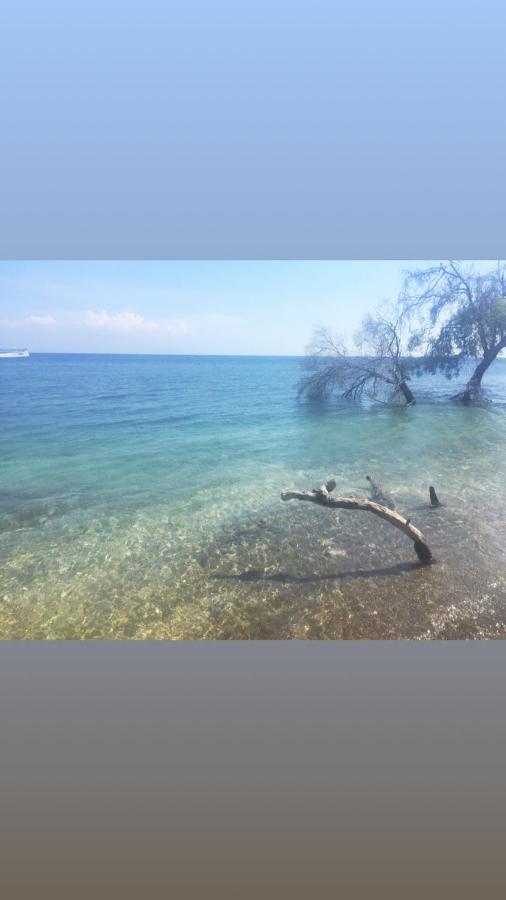 Maleo Moyo Hotel & Dive Resort Moyo Island Exterior foto