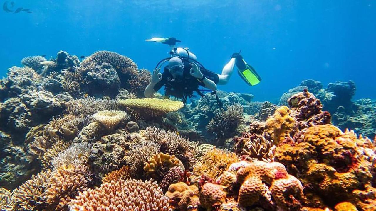 Maleo Moyo Hotel & Dive Resort Moyo Island Exterior foto